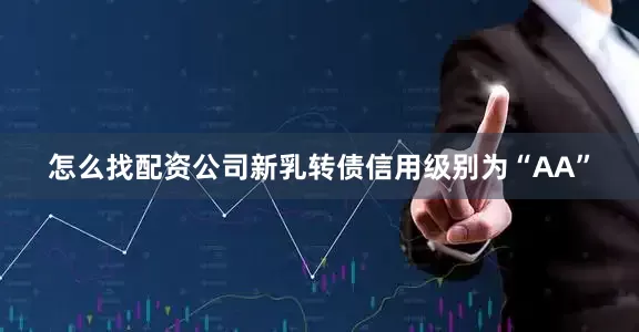 怎么找配资公司新乳转债信用级别为“AA”