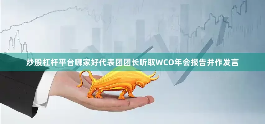 炒股杠杆平台哪家好代表团团长听取WCO年会报告并作发言