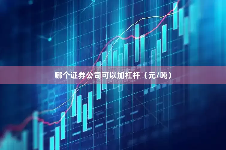 哪个证券公司可以加杠杆（元/吨）