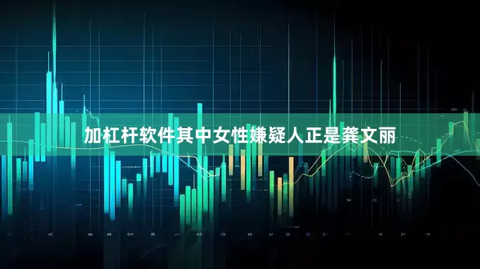 加杠杆软件其中女性嫌疑人正是龚文丽