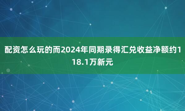 配资怎么玩的而2024年同期录得汇兑收益净额约118.1万新元