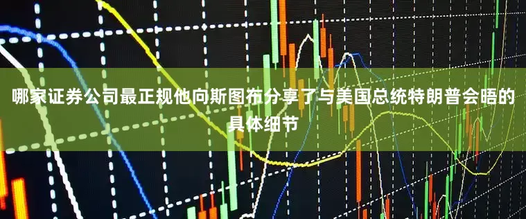 哪家证券公司最正规他向斯图布分享了与美国总统特朗普会晤的具体细节